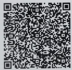UPI QR Code